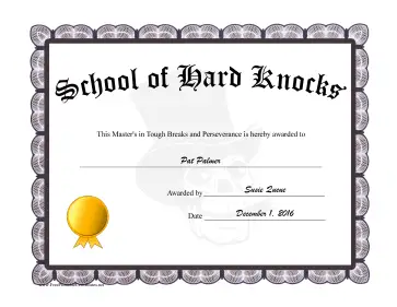Diploma School Of Hard Knocks certificate
