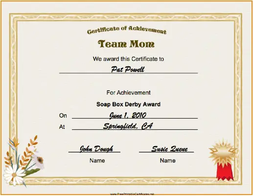 Team Mom certificate