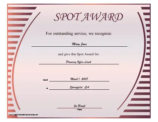 Spot Award certificate