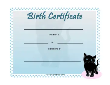 Birth Certificate Kittens