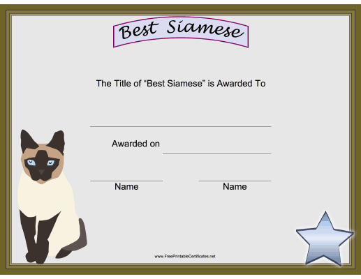 Best Siamese