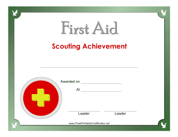First Aid Silver Badge