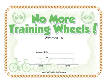 No Training Wheels Bicycle