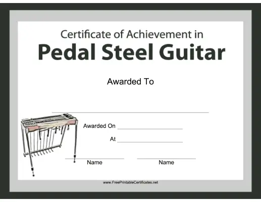 Pedal Steel Guitar Instrumental Music
