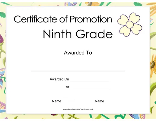 Ninth Grade Promotion