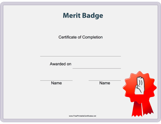 Scout Merit Badge