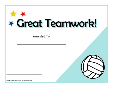 Teamwork Certificate Volleyball