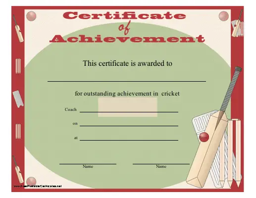 Achievement - Cricket