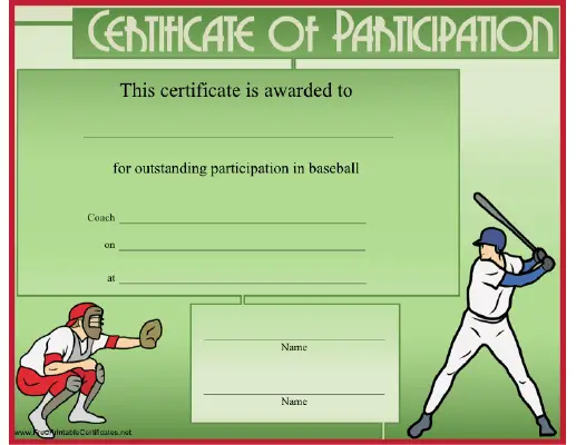 Baseball Participation