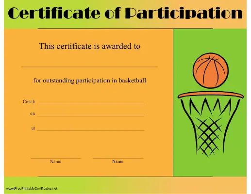 Basketball Participation