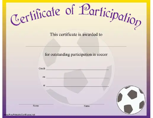 Soccer Participation