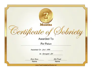 7 Months Sober certificate