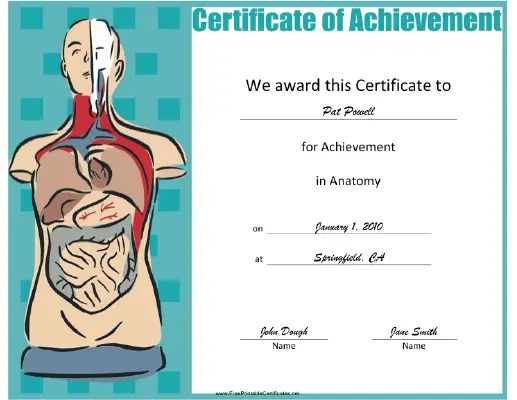 Anatomy certificate