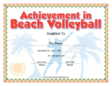 Beach Volleyball certificate