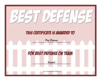 Best Defense Award certificate