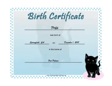 Birth Certificate Kittens certificate