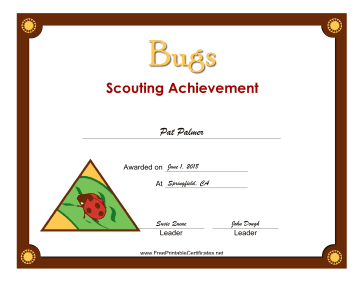 Bugs Badge certificate