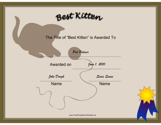Best Kitten certificate