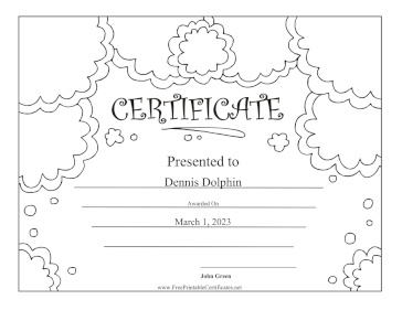 Color In The Clouds certificate