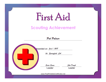 First Aid Level 2 Badge certificate