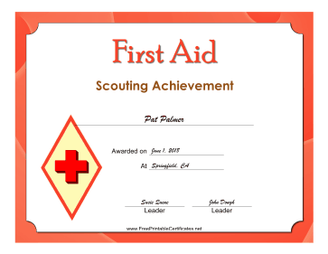First Aid Level 3 Badge certificate
