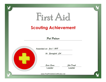 First Aid Silver Badge certificate