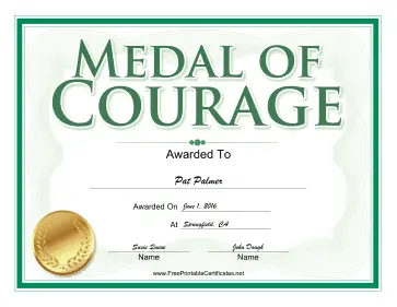Medal of Courage Award certificate
