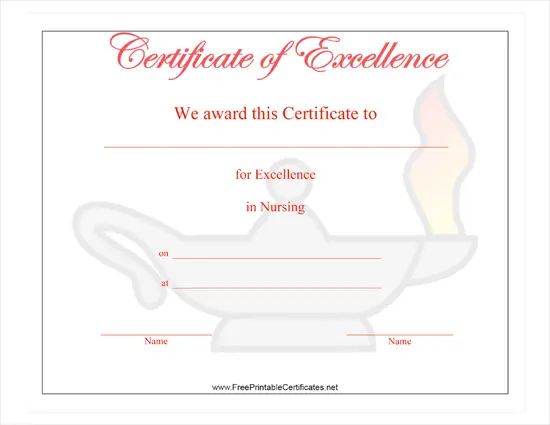 Excellence in Nursing certificate
