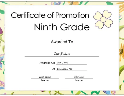Ninth Grade Promotion certificate