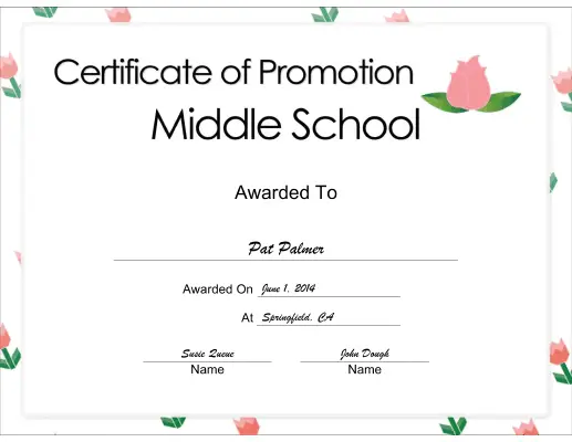 Middle School Promotion certificate