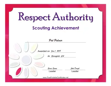 Respect Authority Badge certificate