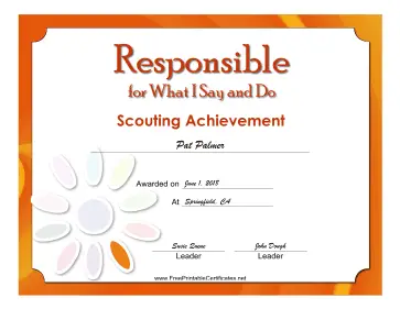Responsible Badge certificate