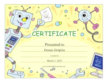 Robots And Computers certificate