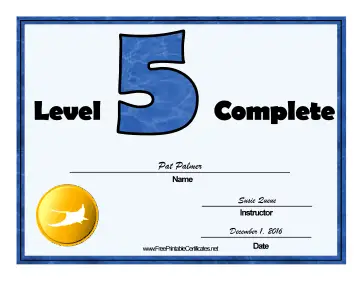 Swimming Lessons Level Five certificate