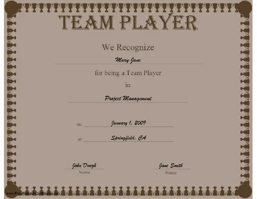 Team Player certificate