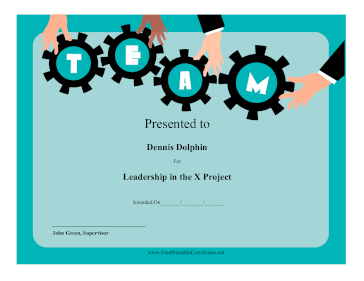 Team Work Award certificate
