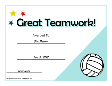 Teamwork Certificate Volleyball certificate