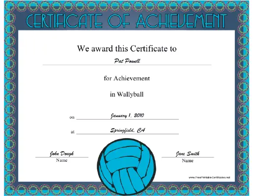 Wallyball certificate