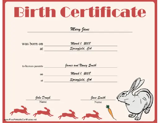 Rabbit Birth certificate