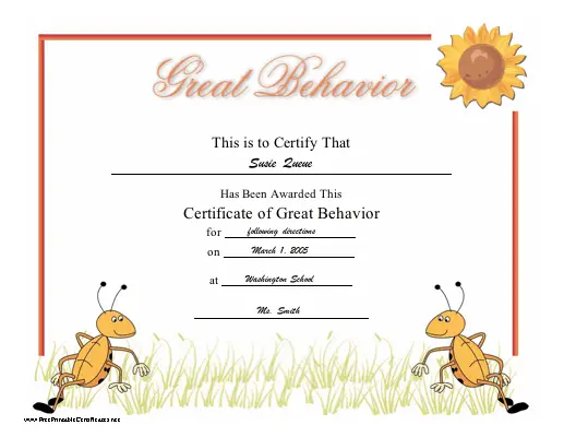 Great Behavior certificate