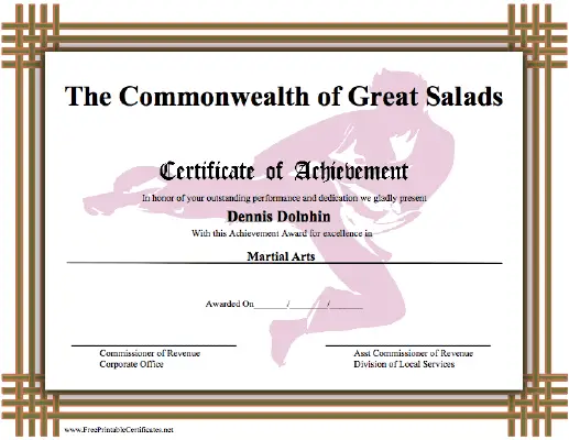 Achievement - Karate certificate