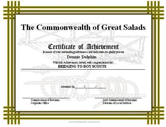 Achievement - Scouts Bridging certificate