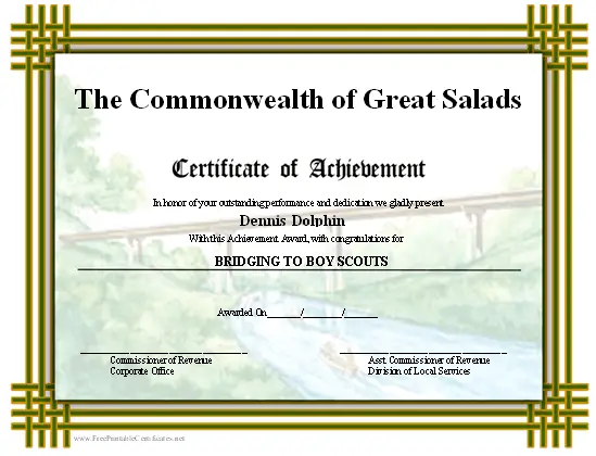 Achievement - Scouts Bridging certificate