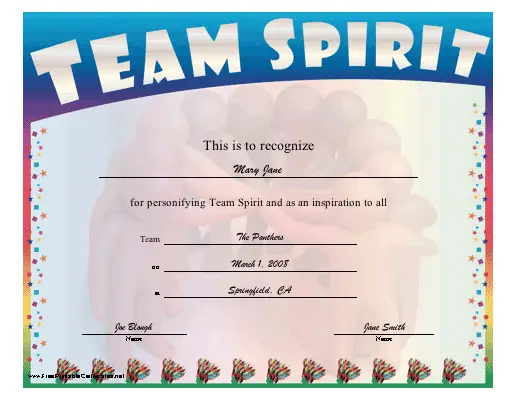 Team Spirit certificate