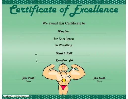 Wrestling Excellence certificate