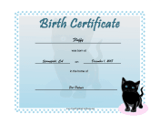 Birth Certificate Kittens