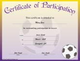 Soccer Participation