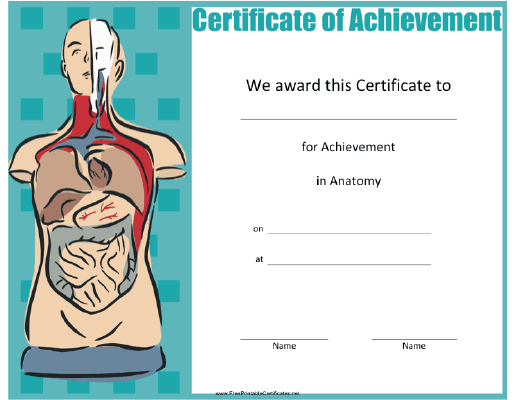 Anatomy
