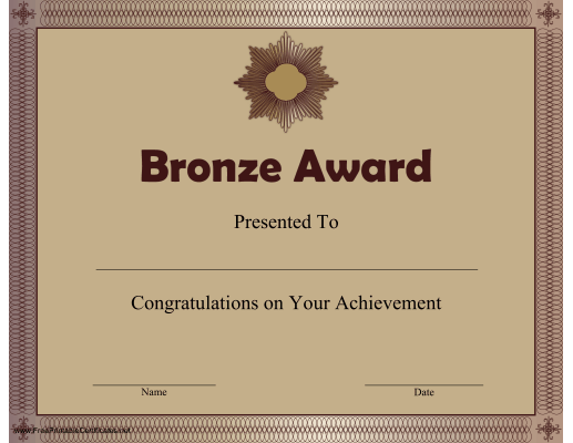 Bronze Award