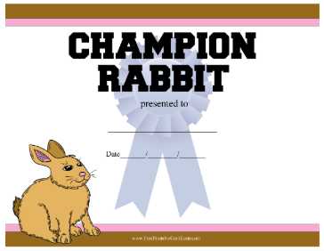 Champion Rabbit